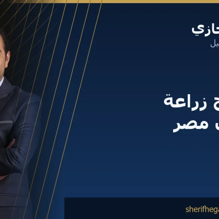 نسبة نجاح زراعة الشعر في مصر: ما الذي تتوقعه